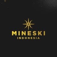 MINESKI - MEDIAFLIX Client