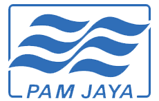 PAM-JAYA - MEDIAFLIX Client